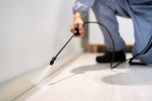Bed Bug Pre-Treatment Preparation Assessment in Upper Brookville