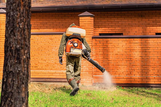 Bed Bug Clearance Verification and Documentation in Upper Brookville